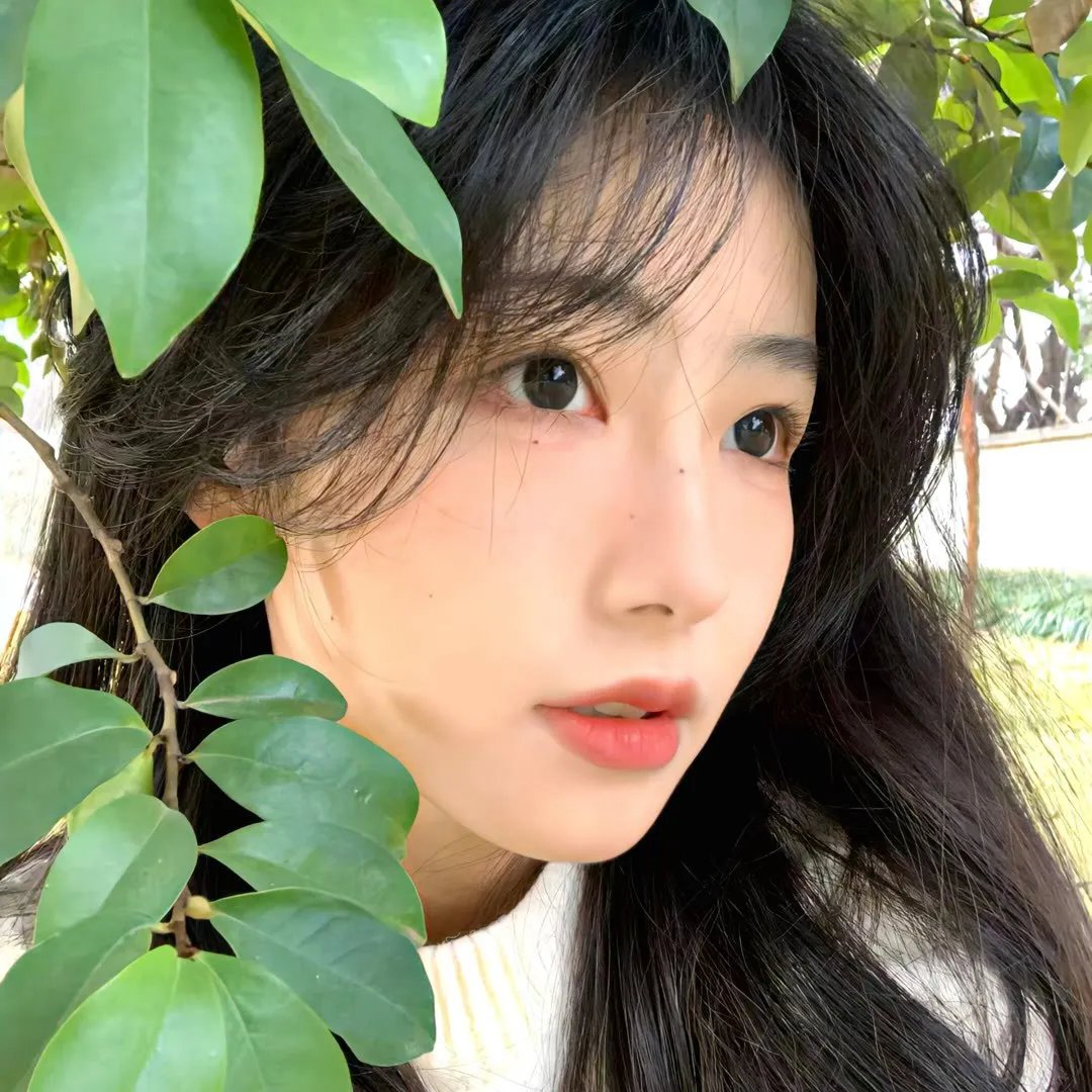 有点意思的院子里院季